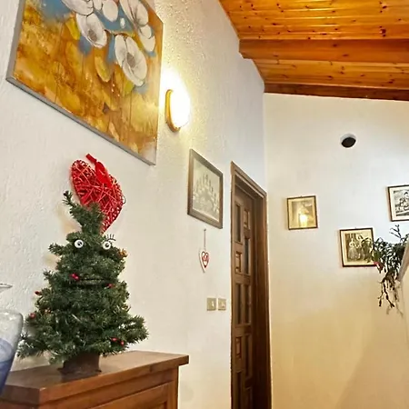 Casa Netto