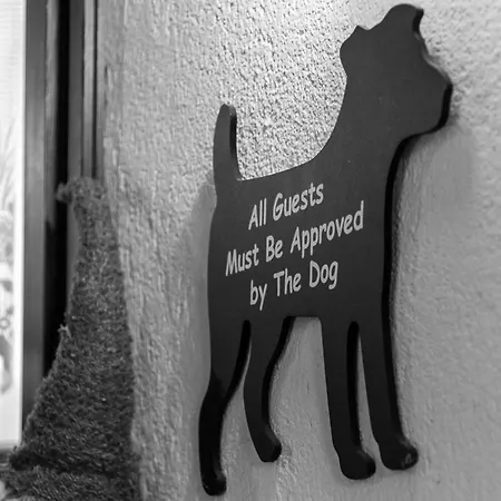 Casa Netto 莫尔杰克斯